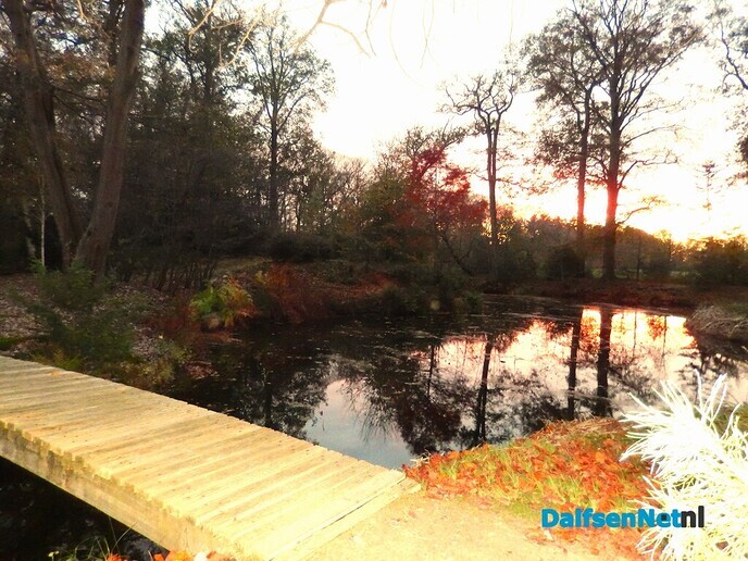Zomaar even wat herfstkiekjes - Foto: Willy