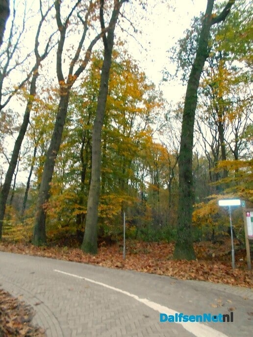 Nu gaat het snel met het vallen van de bladeren