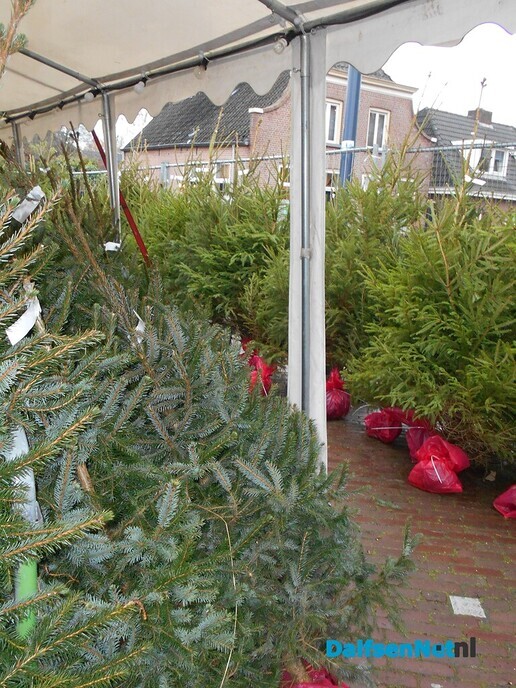 Aanvoer van kerstbomen is begonnen