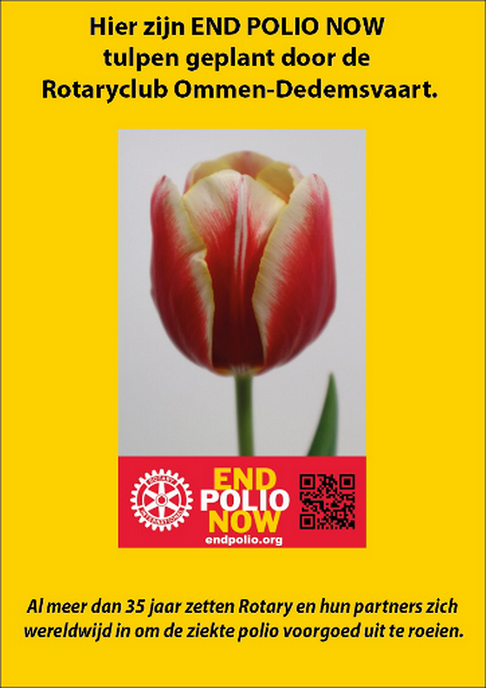 Rotaryclub Ommen Dedemsvaart plant tulpen voor goede doel in het plantsoen van Van Dedem Marke - Foto: Eigen geleverde foto