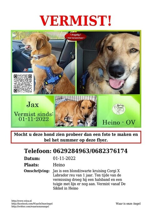 Hond vermist