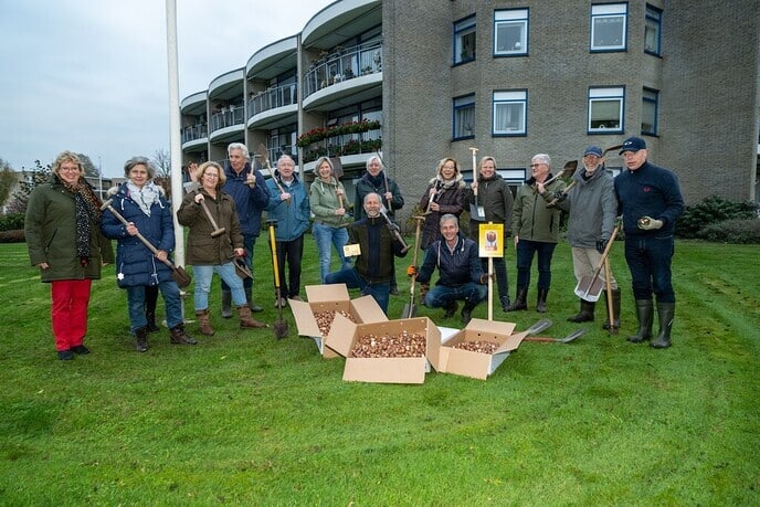 Rotaryclub Ommen Dedemsvaart plant tulpen voor goede doel in het plantsoen van Van Dedem Marke - Foto: Eigen geleverde foto