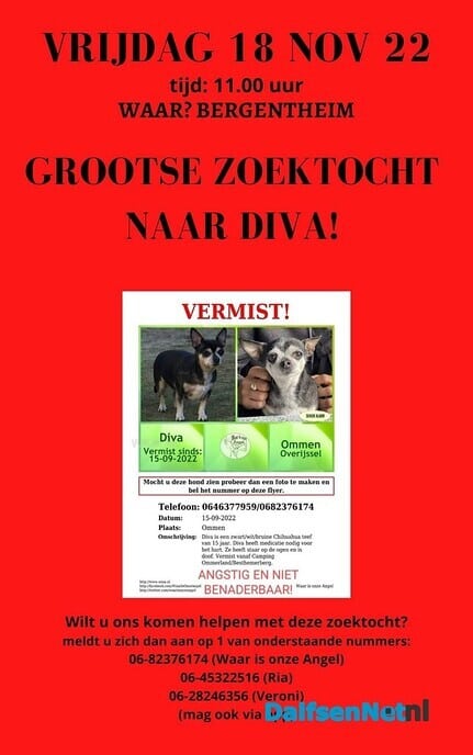 Zoektocht naar hondje Diva 1 - Foto: Ingezonden foto