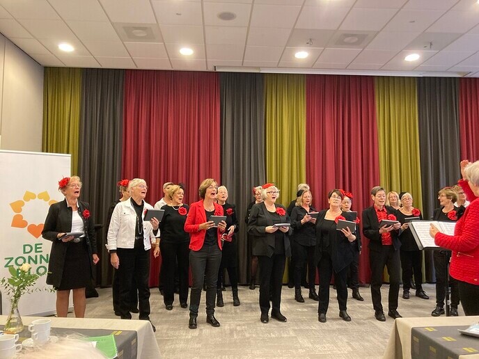 Zonnebloemactiviteit - Foto: Ingezonden foto