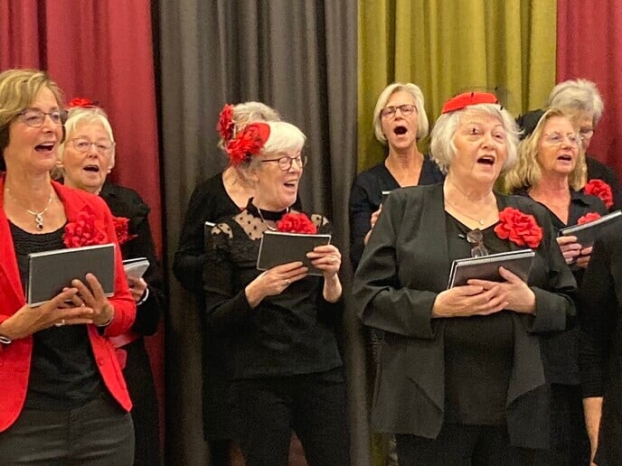 Zonnebloemactiviteit - Foto: Ingezonden foto