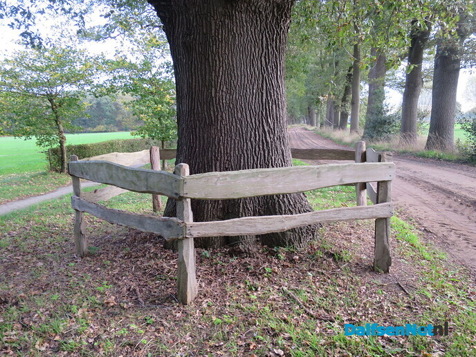 Doorbomen over bomen Bosrandweg en Rietmansweg - Foto: Wim