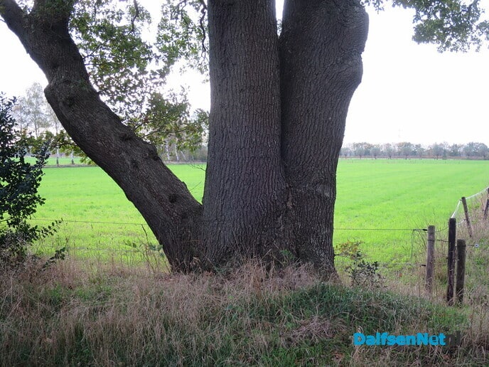 Doorbomen over bomen Bosrandweg en Rietmansweg - Foto: Wim