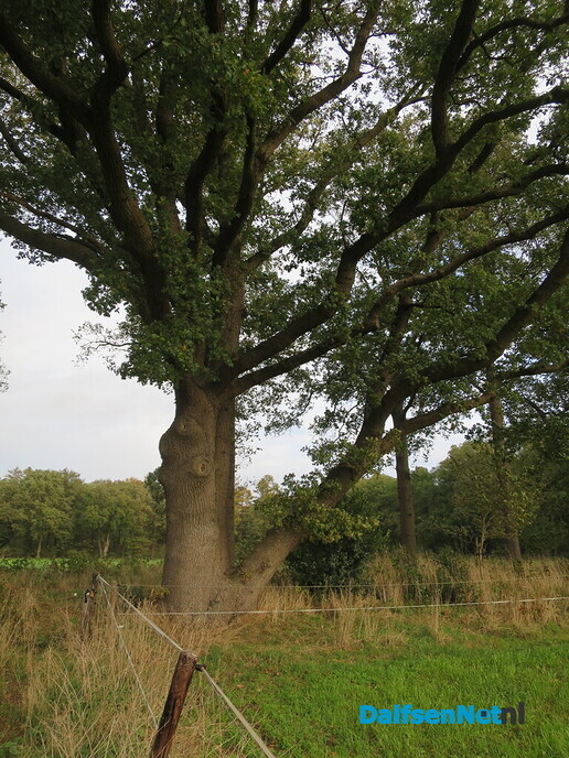 Doorbomen over bomen Bosrandweg en Rietmansweg - Foto: Wim
