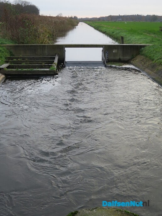 Ochtendrood: brengt water in de sloot - Foto: Wim