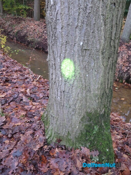 Ochtendrood: brengt water in de sloot - Foto: Wim