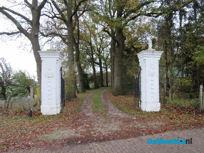 Ochtendrood: brengt water in de sloot - Foto: Wim