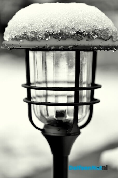 Nog wat winterse kiekjes - Foto: Ben Jonkman
