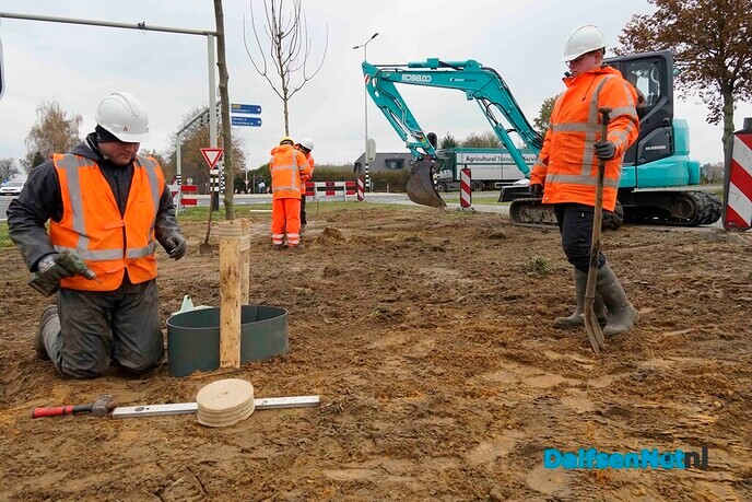 Nieuwe beplanting langs N340 (Hessenweg) - Foto: Paul Scholten