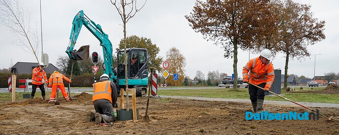 Nieuwe beplanting langs N340 (Hessenweg) - Foto: Paul Scholten