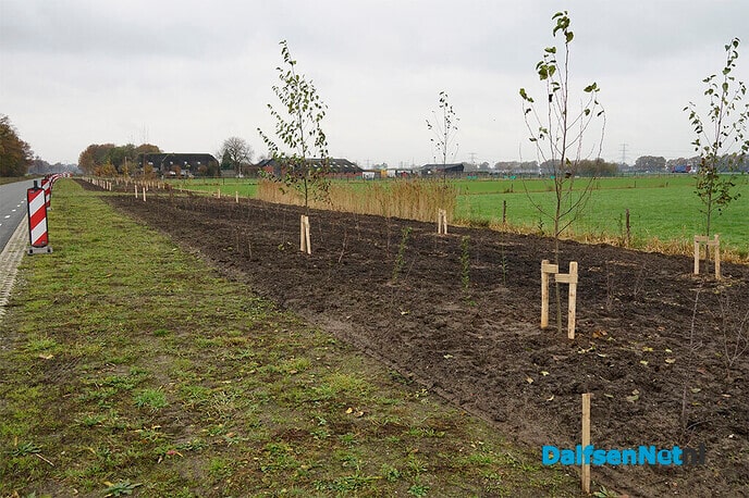 Nieuwe beplanting langs N340 (Hessenweg) - Foto: Paul Scholten