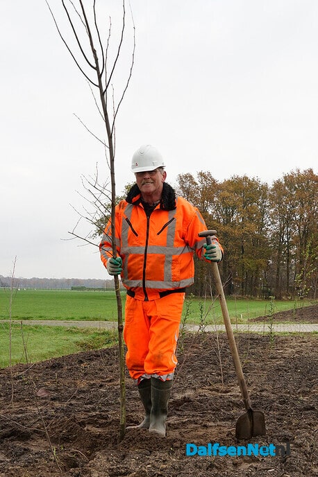 Nieuwe beplanting langs N340 (Hessenweg) - Foto: Paul Scholten