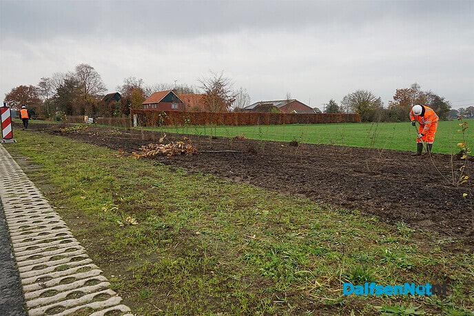 Nieuwe beplanting langs N340 (Hessenweg) - Foto: Paul Scholten