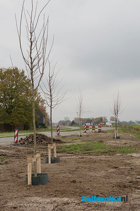Nieuwe beplanting langs N340 (Hessenweg) - Foto: Paul Scholten