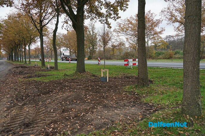 Nieuwe beplanting langs N340 (Hessenweg) - Foto: Paul Scholten