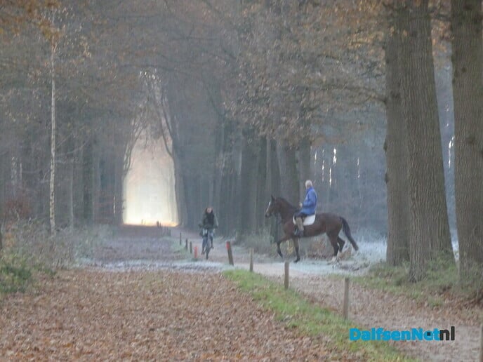 Drukte in Emmen - Foto: Ingezonden foto