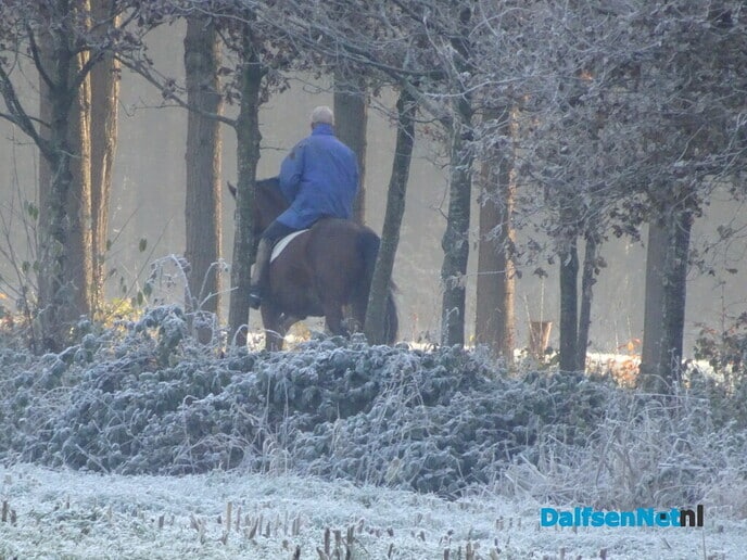 Drukte in Emmen - Foto: Ingezonden foto