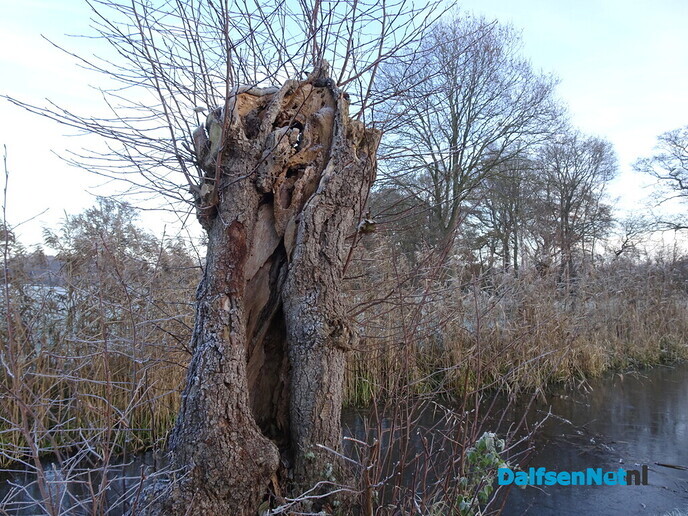 Drukte in Emmen - Foto: Ingezonden foto
