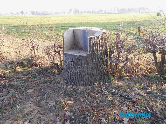 Deze foto’s had u nog te goed