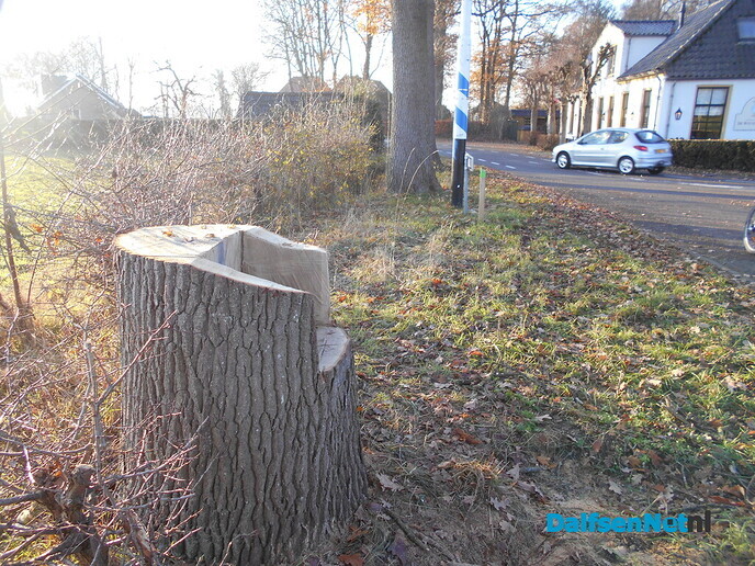 Deze foto’s had u nog te goed