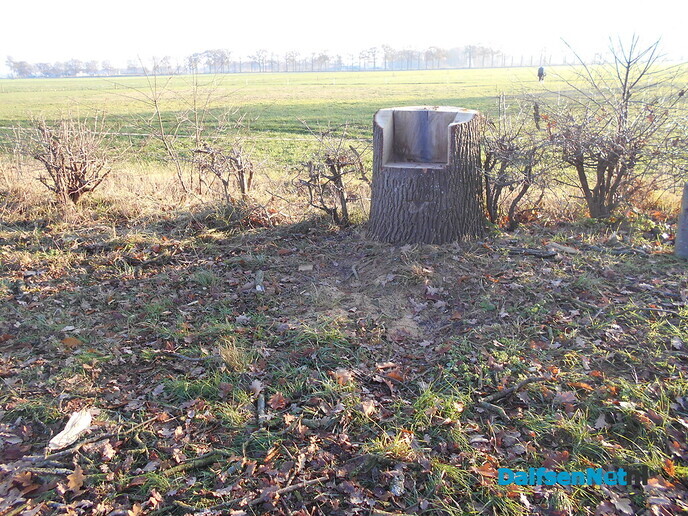 Deze foto’s had u nog te goed