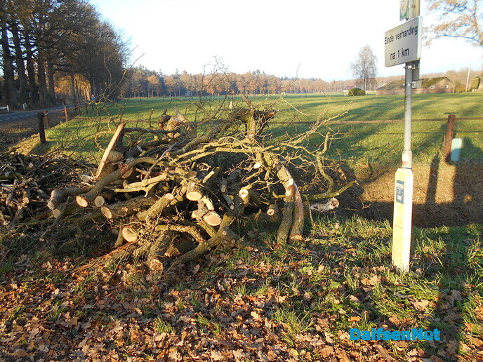 Deze foto’s had u nog te goed