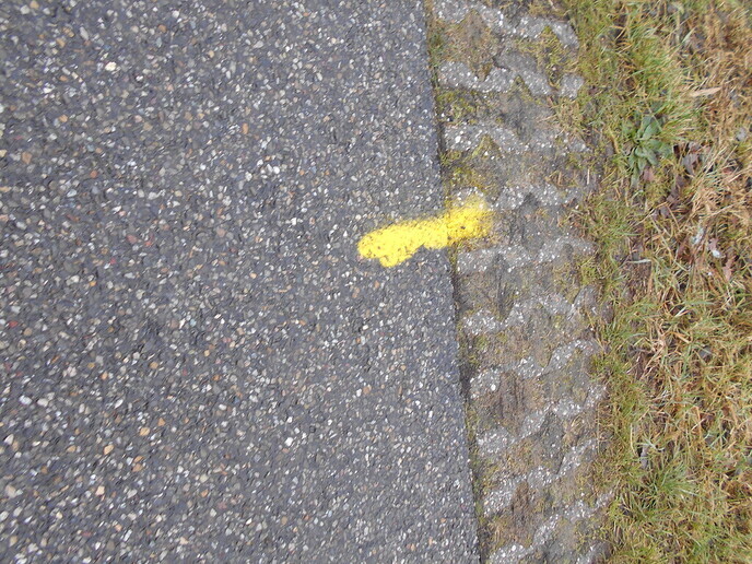 Wat gaat de gasunie doen?