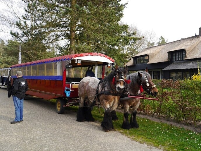 Morgen Huifkartocht tijdelijke bewoners Hof van Dalfsen - Foto: Ingezonden foto