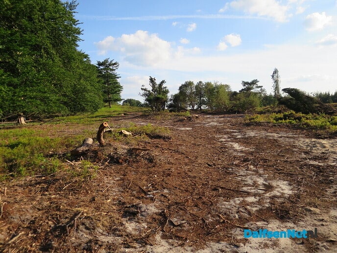 Jaaroverzicht WvdV, 2022 was vooral genieten van de natuur - Foto: Wim