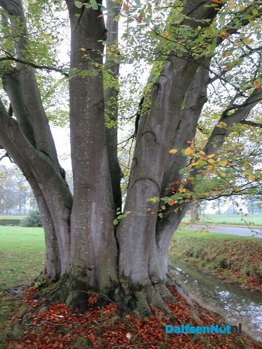 Jaaroverzicht WvdV, 2022 was vooral genieten van de natuur - Foto: Wim