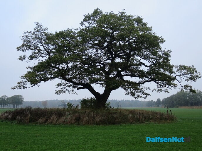 Jaaroverzicht WvdV, 2022 was vooral genieten van de natuur - Foto: Wim