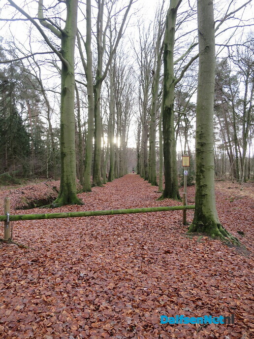 Eerst wandeldag GreenShoes groot succes - Foto: Wim