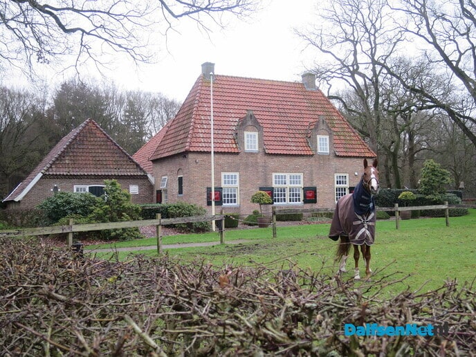 Eerst wandeldag GreenShoes groot succes - Foto: Wim