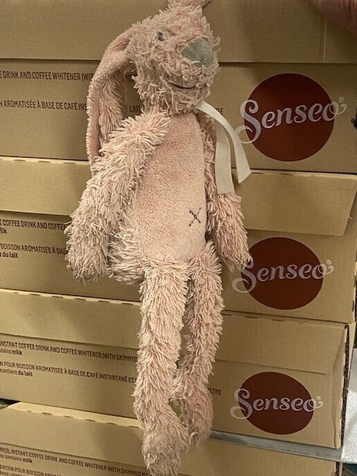 Knuffelkonijn gevonden - Foto: Ingezonden foto