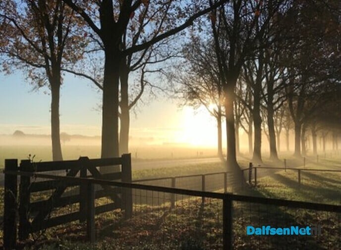 Een paar mooie kiekies van vanmorgen … - Foto: Ingezonden foto