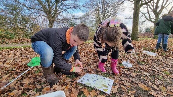 De Spiegel gaat voor groen … - Foto: Ingezonden foto
