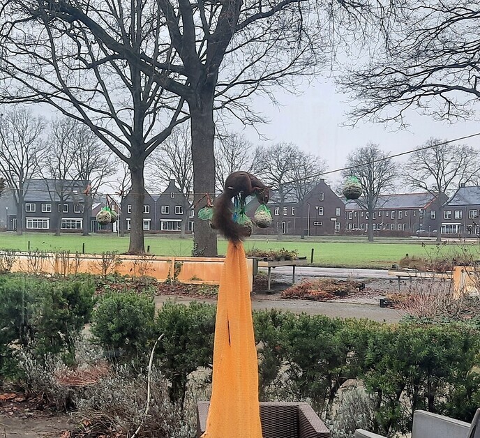 Op heterdaad - Foto: Gruune Jopie