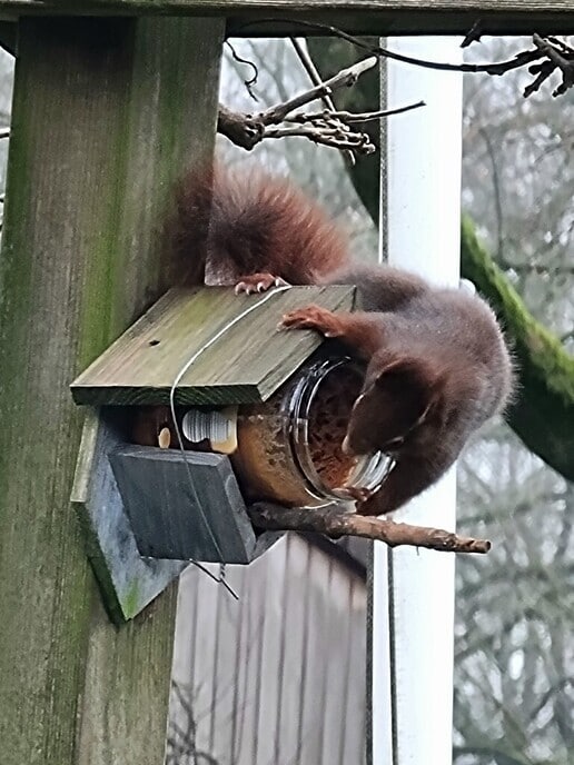 Vreemde vogel - Foto: Ingezonden foto