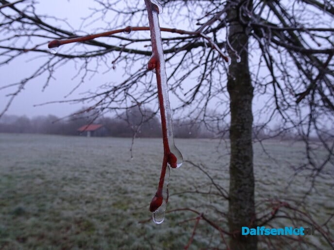 Vorst - Foto: Ingezonden foto