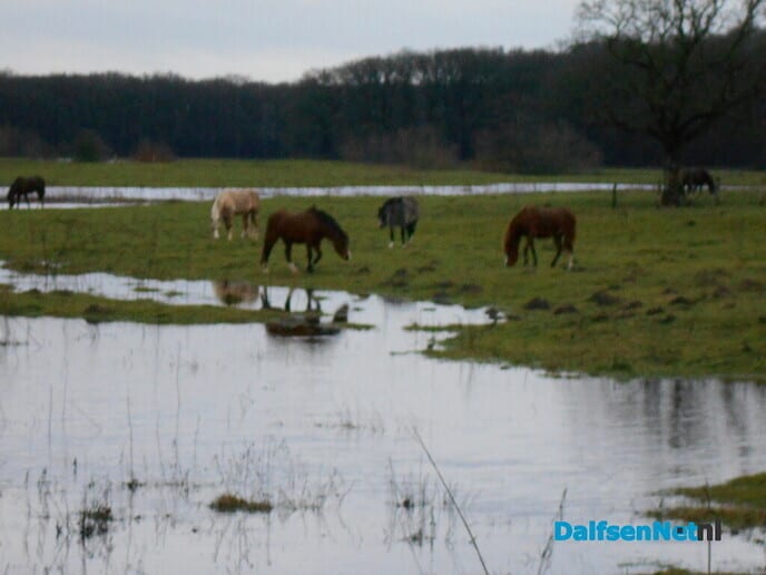Beelden van genoeg water