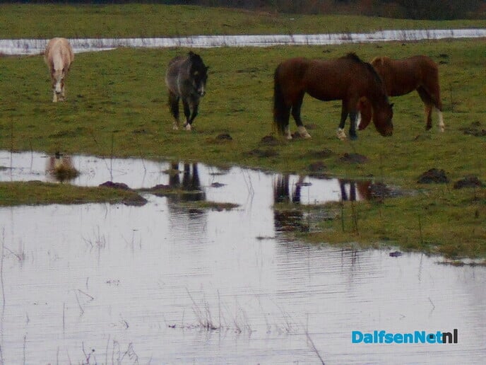 Beelden van genoeg water