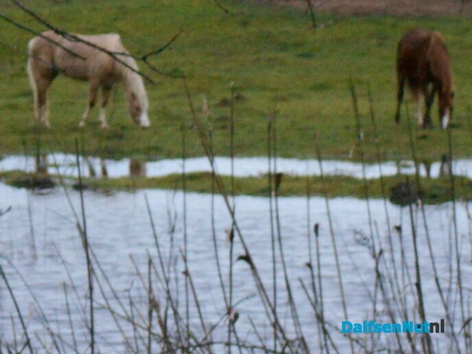 Beelden van genoeg water