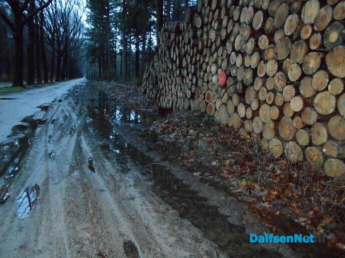 Beelden van genoeg water
