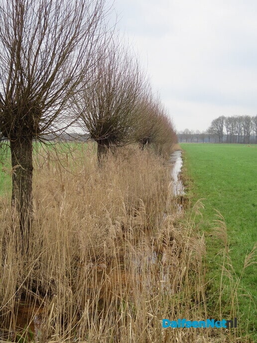 Prachtige rondwandeling Vilsteren - Foto: Wim