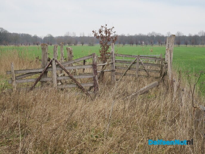 Prachtige rondwandeling Vilsteren - Foto: Wim