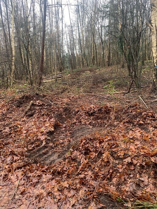 Boswerkzaamheden begonnen op Landgoed Den Berg - Foto: Ingezonden foto